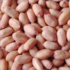 Peanuts (Moongfali Dana)500 GM