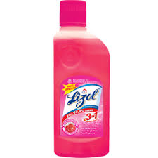 Lizol Disinfectant Floor Cleaner - Floral 975 ML